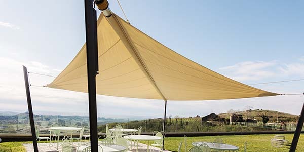 Zefira pour Tenuta Le Cave : là où tradition et innovation se rencontrent